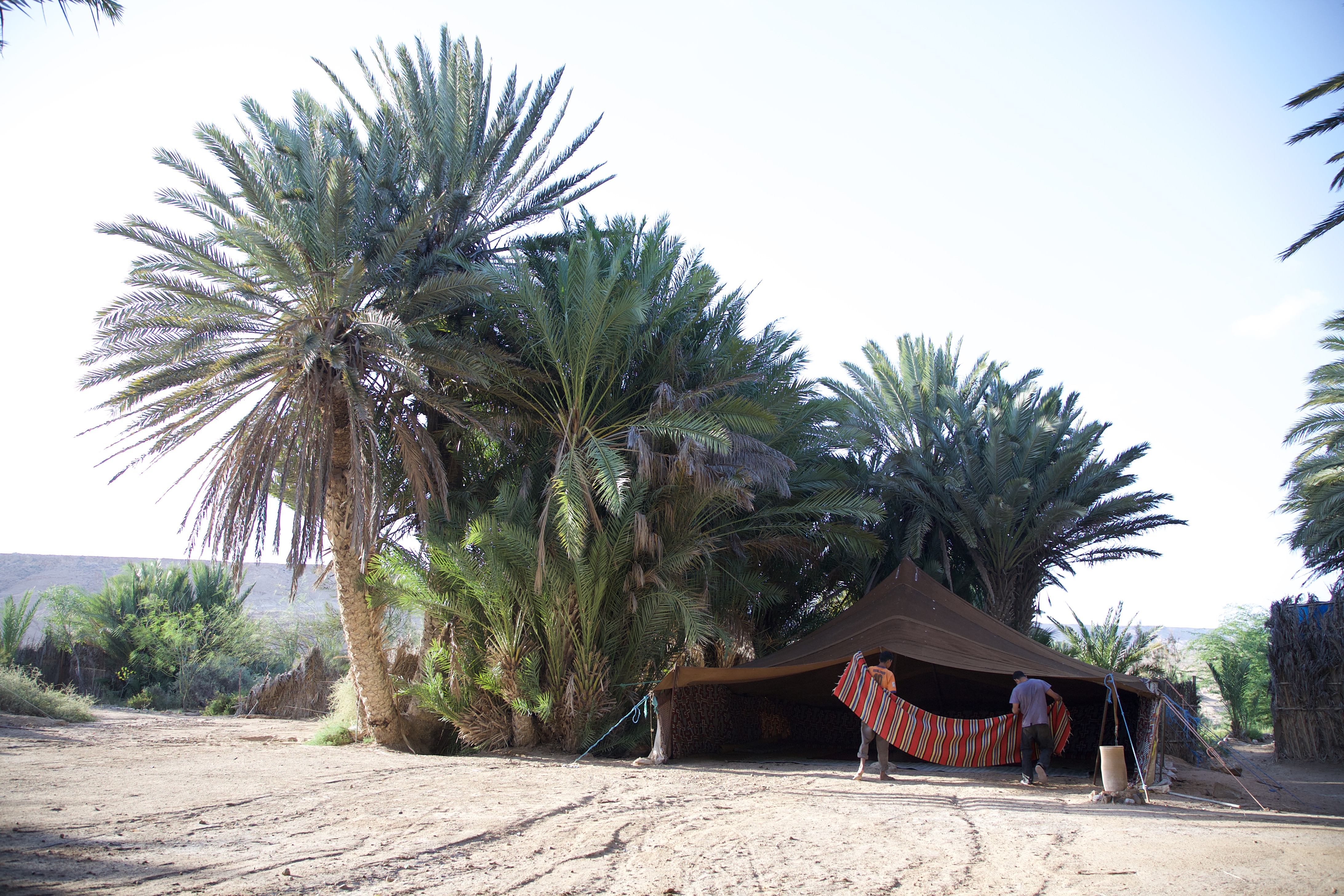 Bedouin-tent